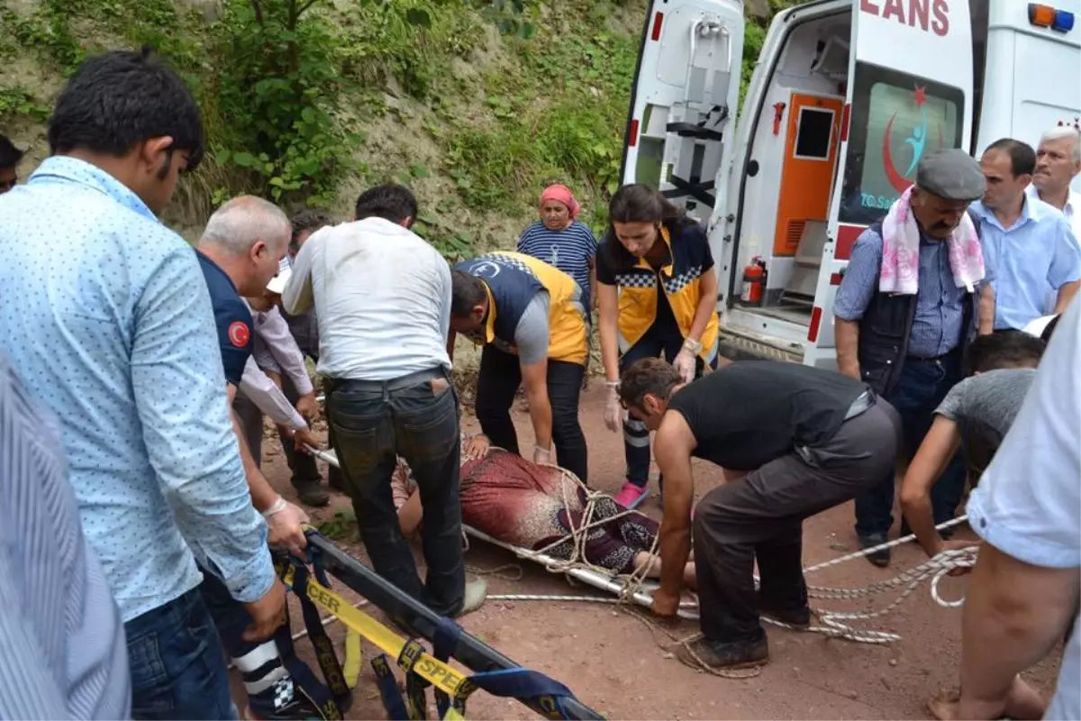 Ordu\'da Fındık İşçilerinin Minibüsü Dereye Uçtu: 18 Yaralı