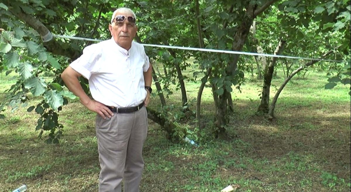 Şahin: "Fındıkta Tek Dal, Maliyeti Düşürürken, Verim ve Kaliteyi Artırıyor"