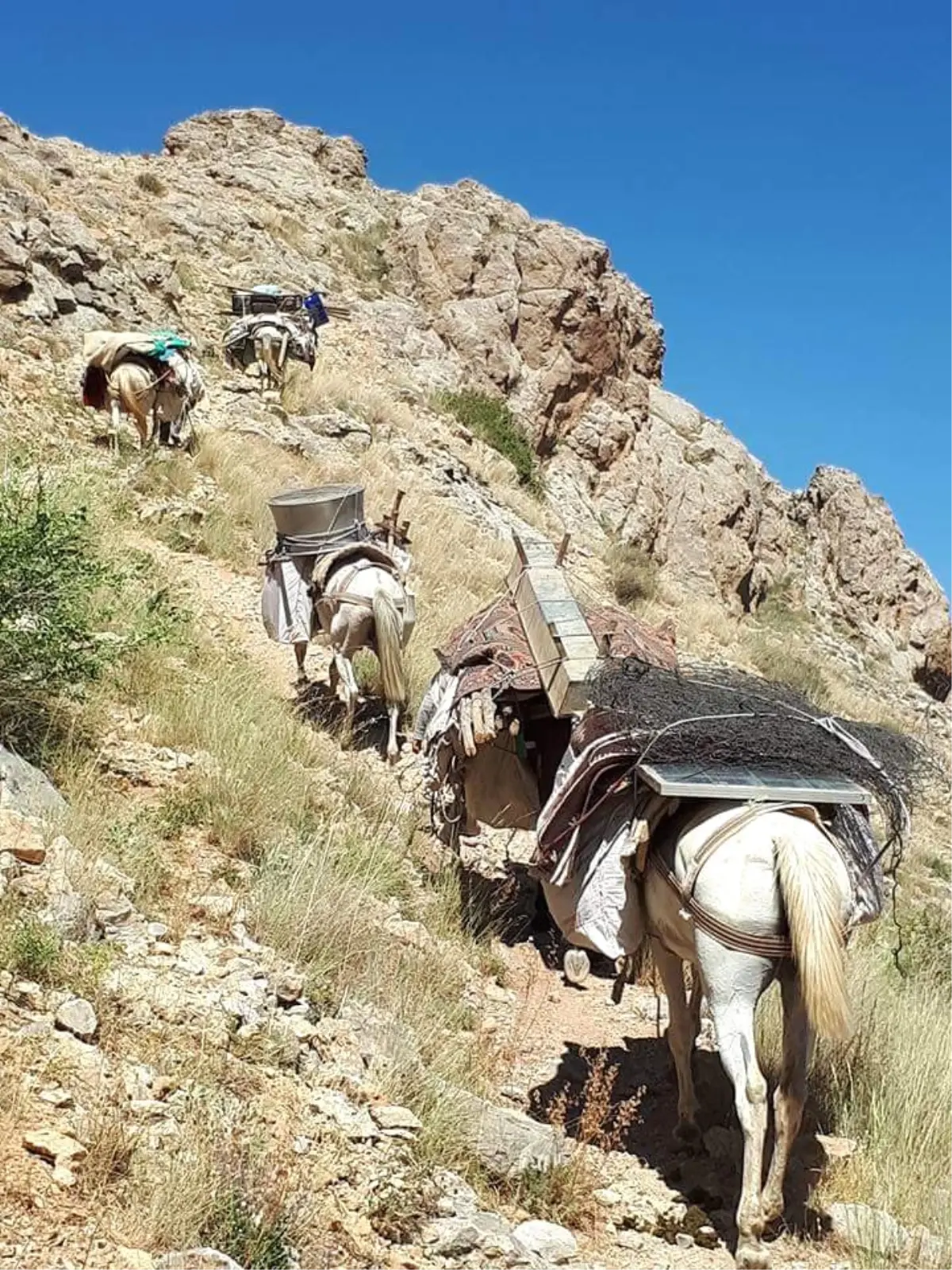 Su Bitince Yerlerini Terk Ettiler