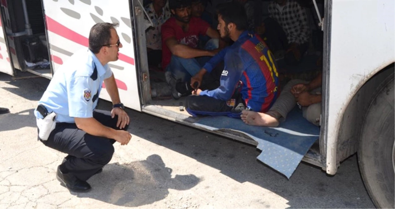 Yolcu Otobüsünde 119 Kaçak Göçmen Yakalandı, 20\'si Otobüsün Bagajından Çıktı