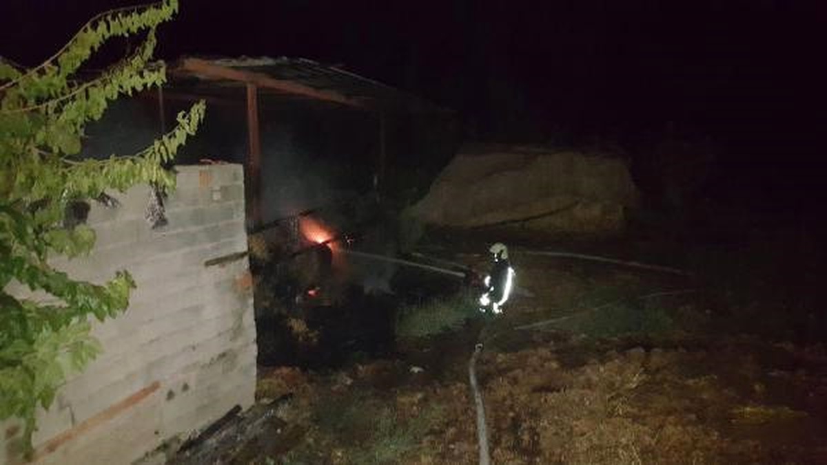 Besihanede Çıkan Yangında Hayvanlar Telef Oldu