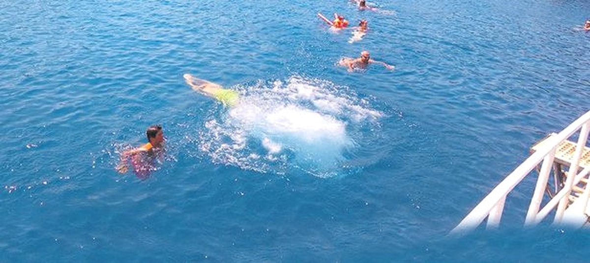Bodrum\'da İki Kişi Caretta Caretta Saldırısına Uğradı
