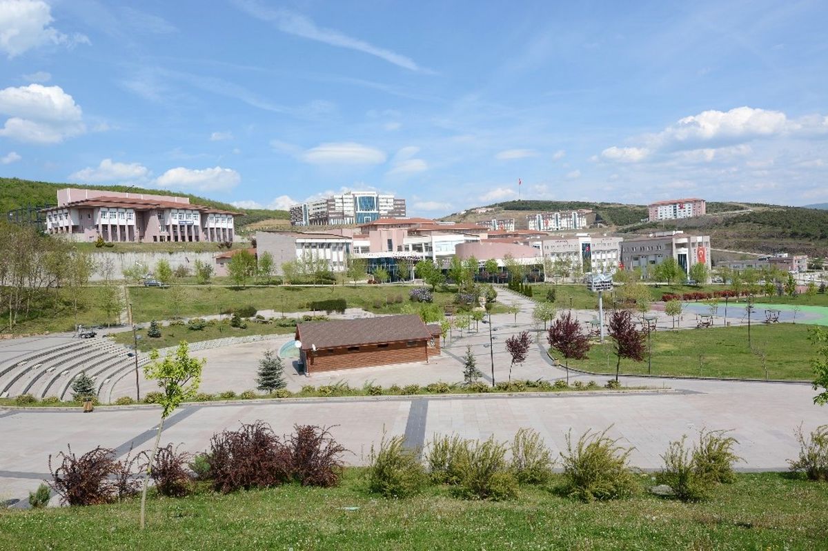 Düzce\'de Tarımsal Atıklardan Kimyasal ve Kompozit Madde Elde Edilecek