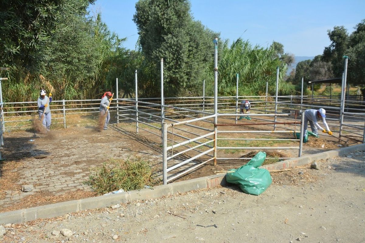Kurban Bayramı Öncesi Söke\'de Hayvan Pazarı Temizlendi
