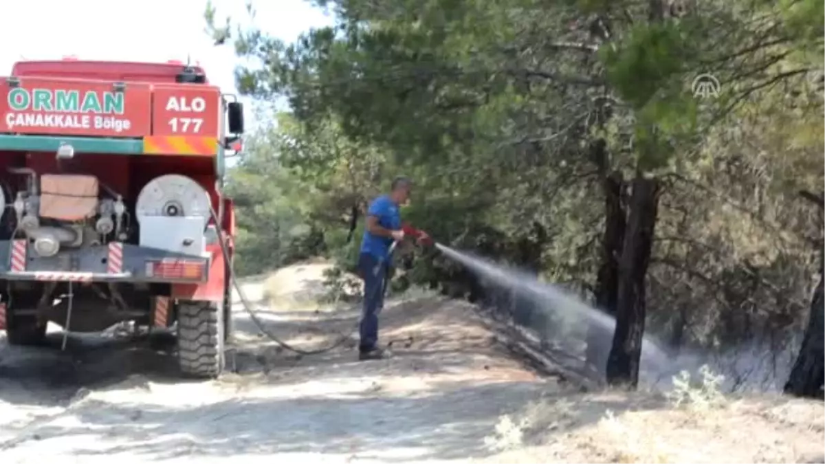 Malkara\'da Orman Yangını - Yangın Kontrol Altına Alındı