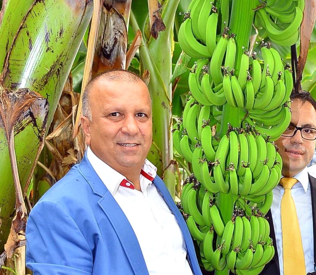 Manavgat Muzda Marka Olma Yolunda