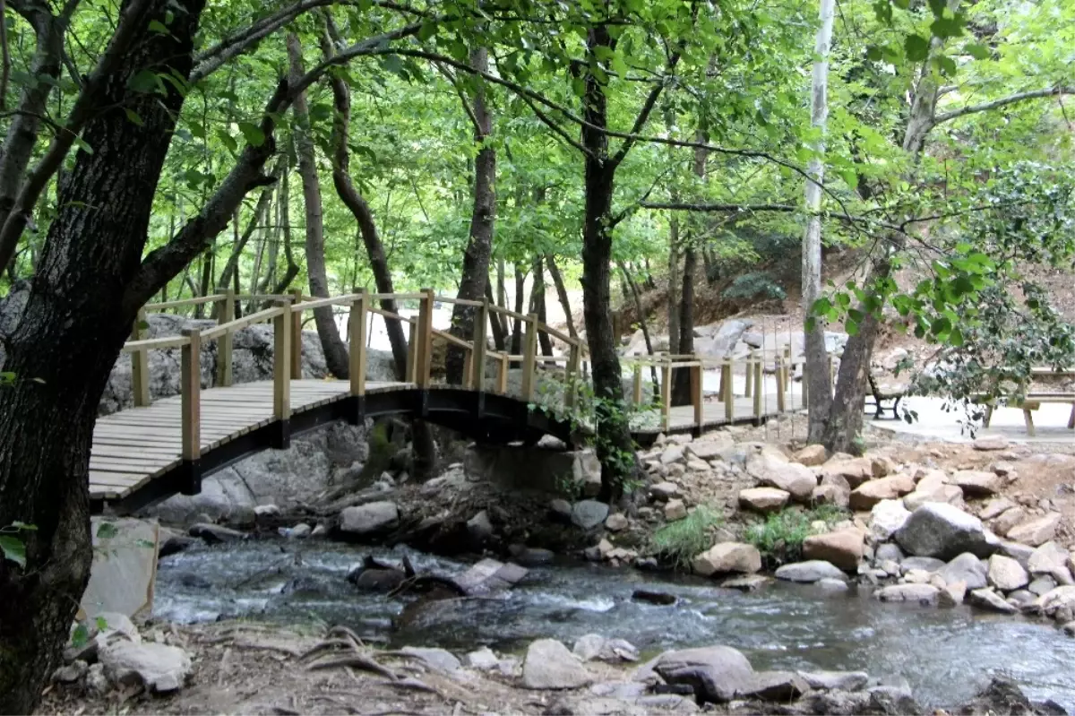 Bu Kanyona Girenler Büyüleniyor