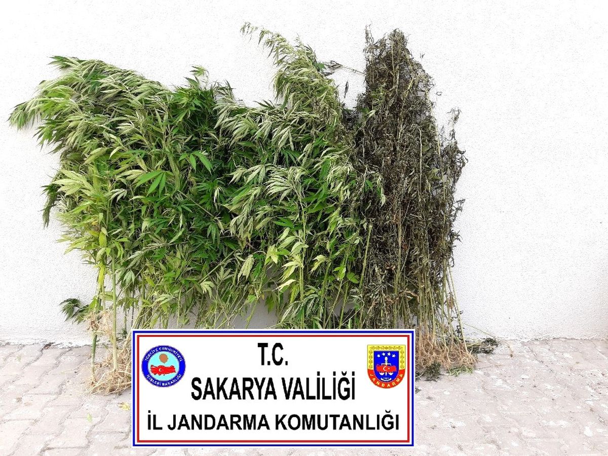Sakarya\'da Uyuşturucu Operasyonları