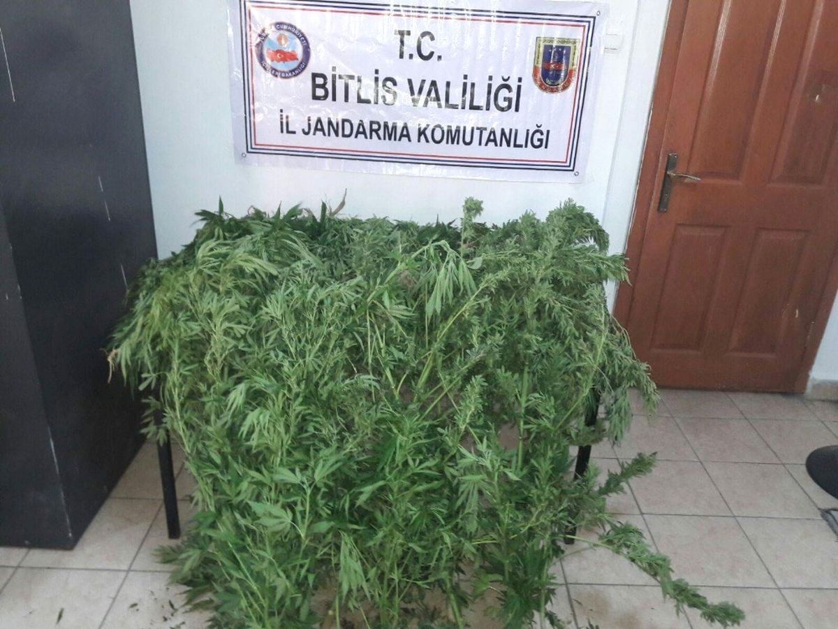 Tatvan\'da Uyuşturucu Operasyonu