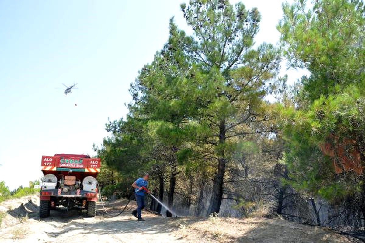 Tekirdağ\'da 50 Dönüm Orman Yandı
