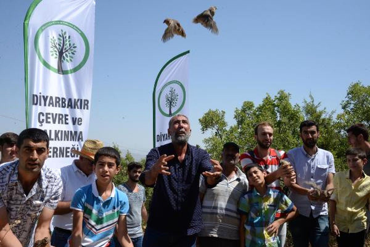 Terör Operasyonlarının Sürdüğü Lice Dağlarına Bıldırcın Bıraktılar