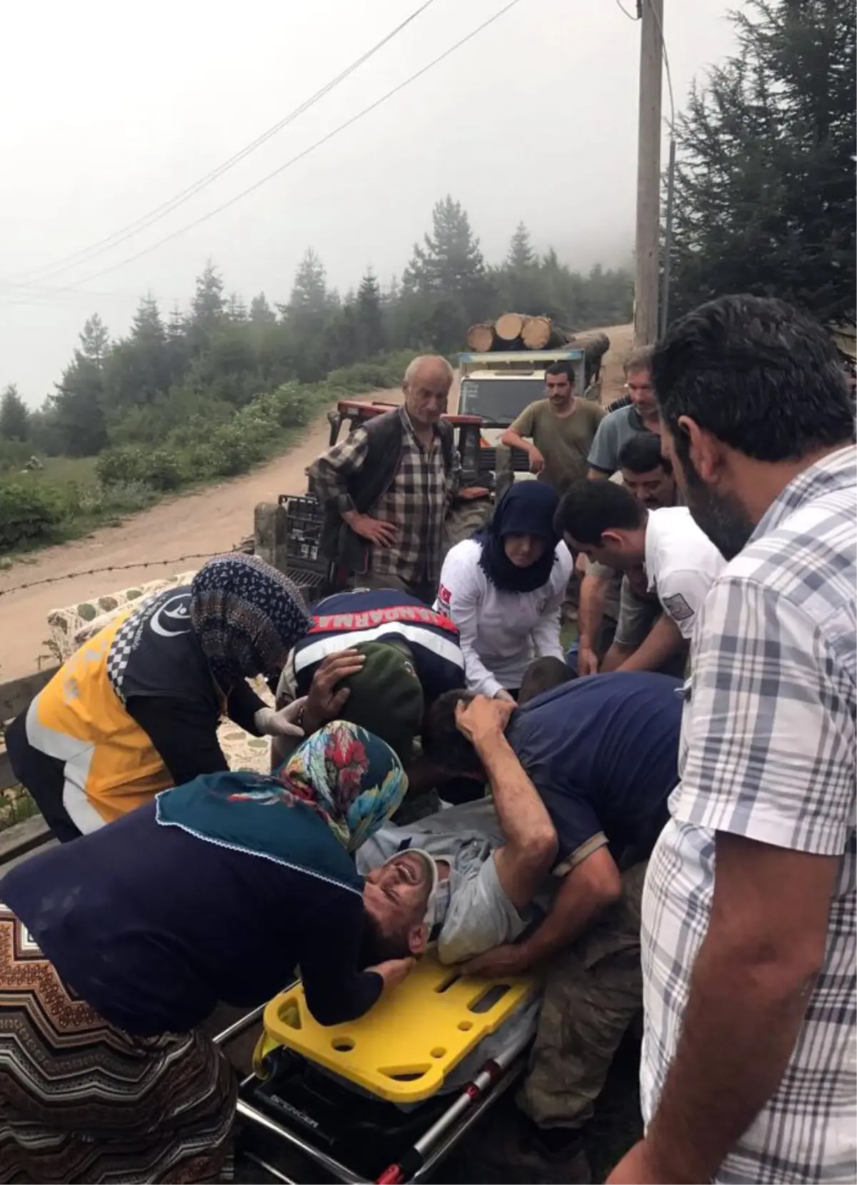 Tomruk Yüklü Traktör Devrildi: 1 Yaralı