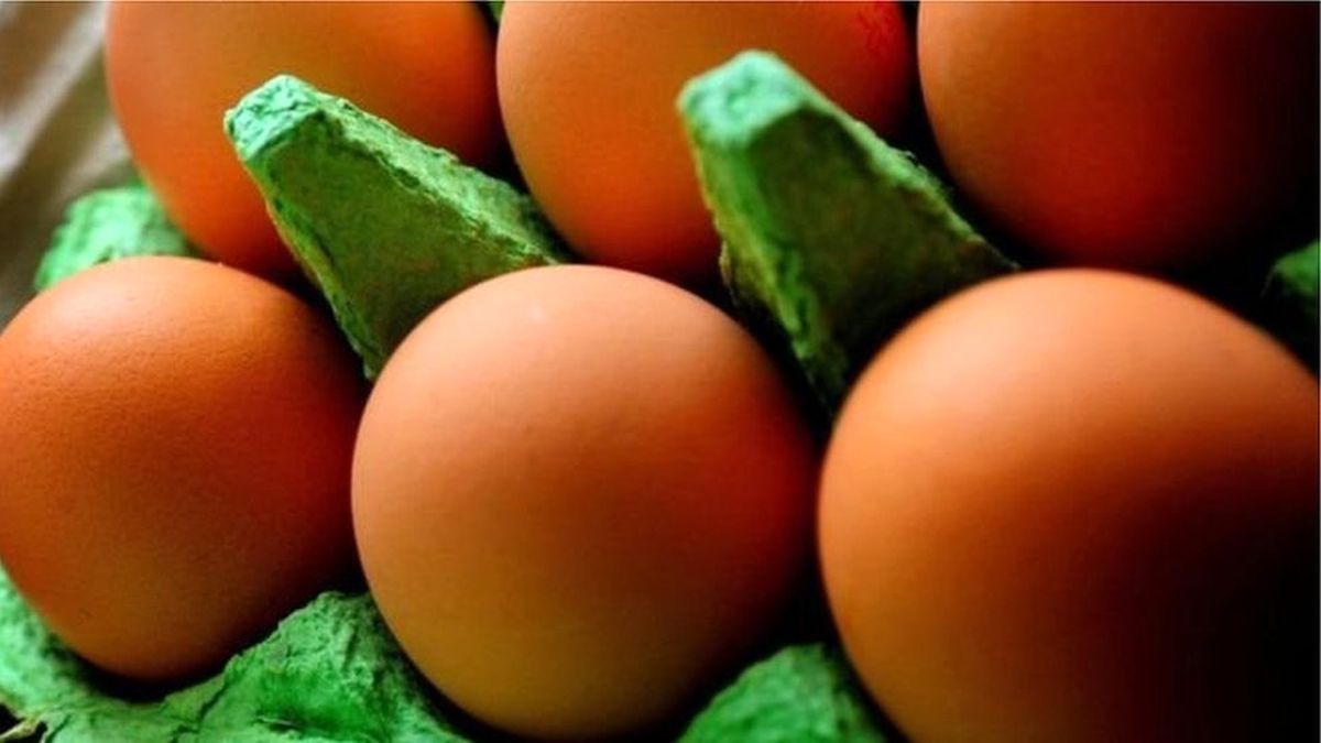 AB\'den Hollanda ve Belçika\'ya: \'Zehirli Yumurta\' Skandalı İçin Birbirinizi Suçlamayı Bırakın