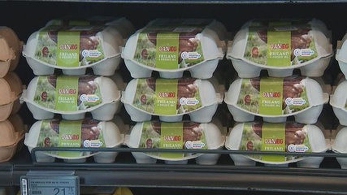 Danimarka\'da 20 Ton Fipronilli Yumurta Tespit Edildi