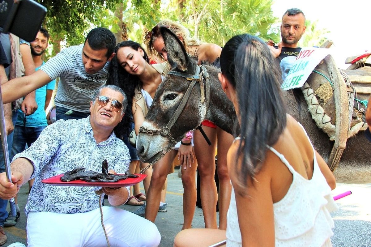 Eşekli Tanıtıma Hayvansever Tepkisi