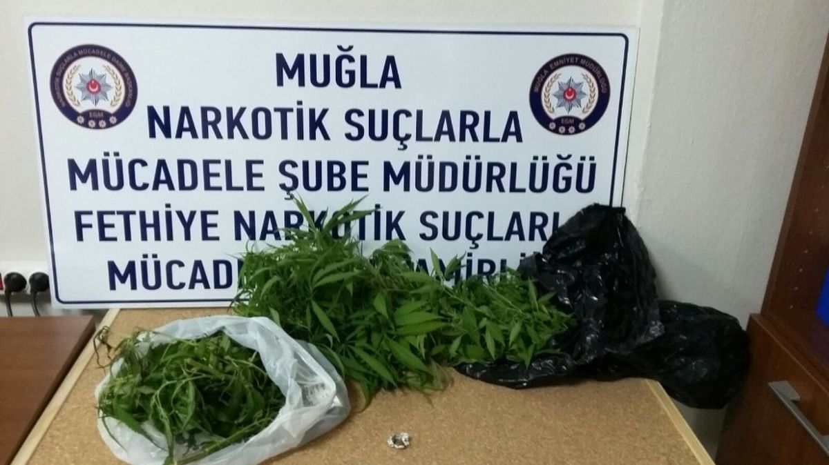 Fethiye\'de Uyuşturucu Operasyonu: 1 Tutuklama