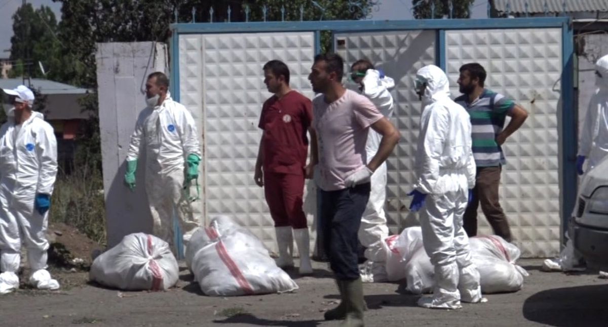 Filipinler\'de 400 Bin Kümes Hayvanını İtlaf Edilecek