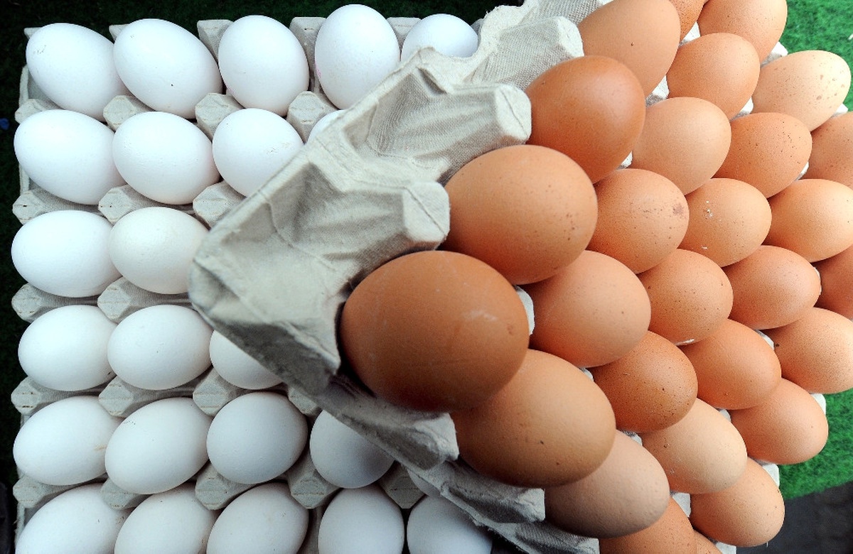 Hollanda\'da Zehirli Yumurta Skandalında 2 Gözaltı