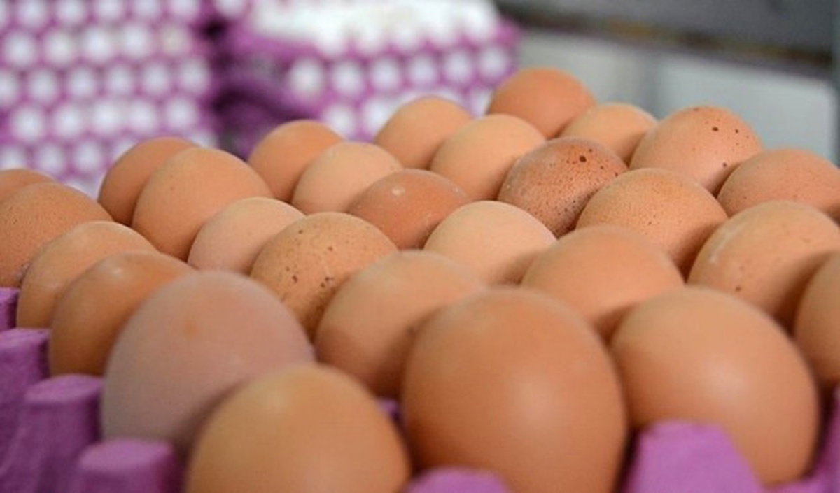 Hollanda Hükümetinden "İlaçlı Yumurta" Açıklaması