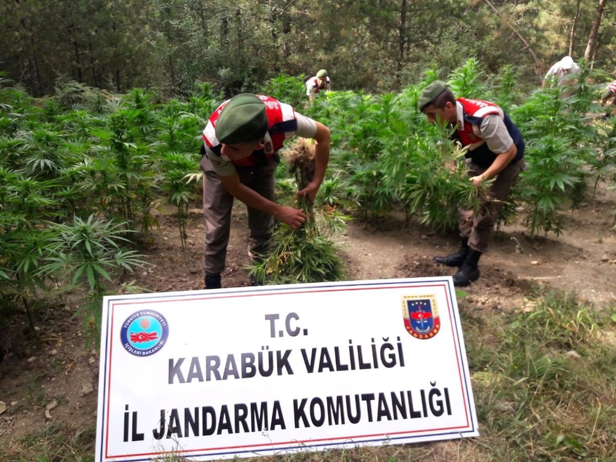 Jandarma Uyuşturucu Üretime Göz Açtırmıyor