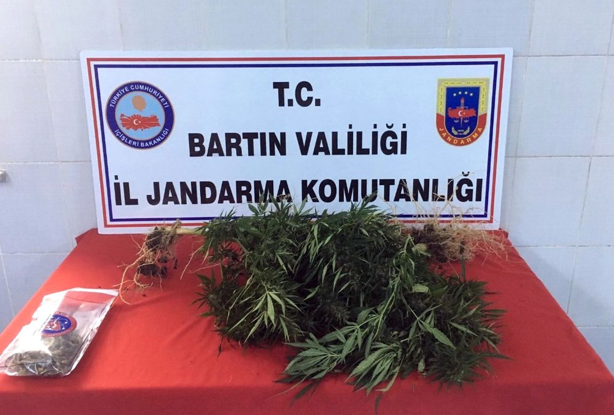 Jandarmadan Kenevir Operasyonu