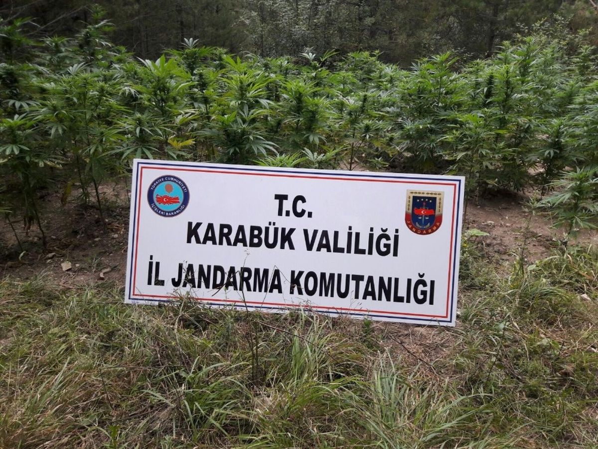 Karabük\'te Uyuşturucu Operasyonu