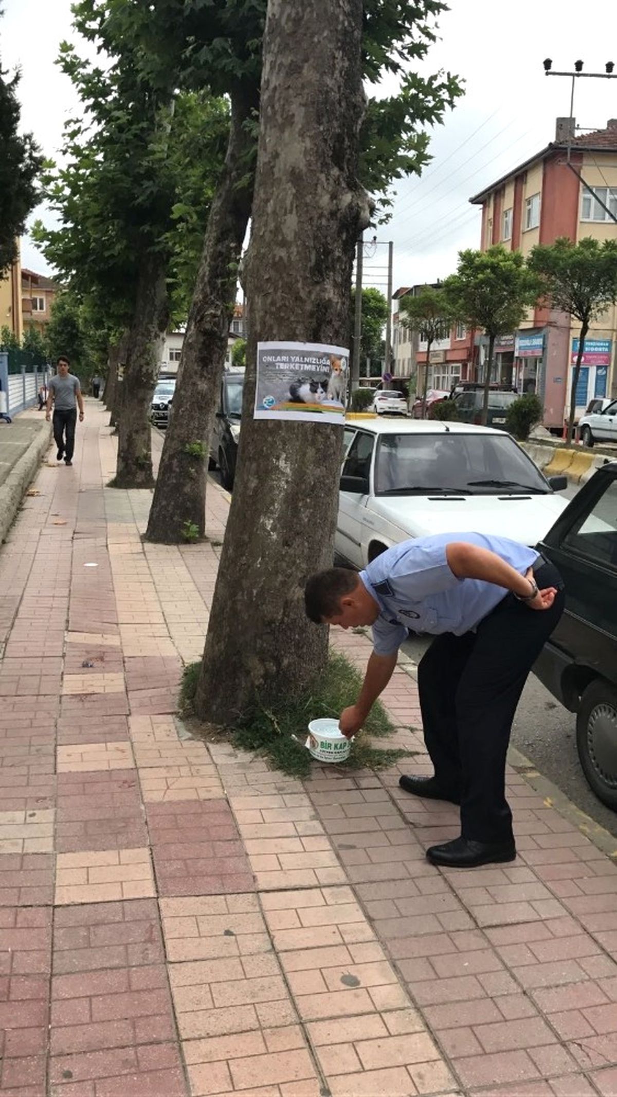 Kaynarca\'da Sokak Hayvanları Susuzluktan Ölmeyecek