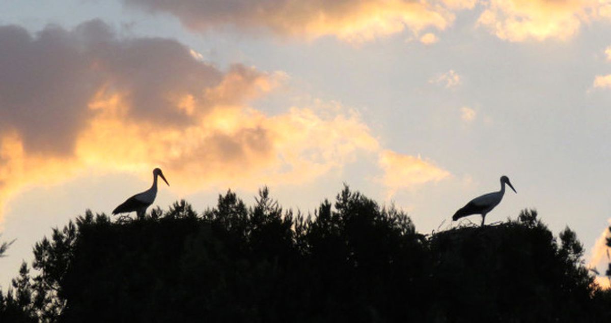 Paris ya da Roma Değil, Burası Konya'daki Leylekler Vadisi!