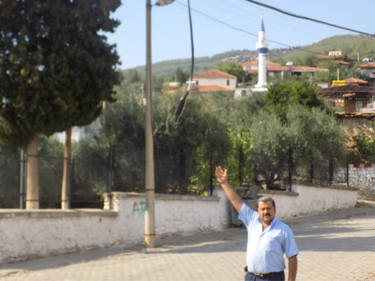 Ölümden Döndü, Başkalarının Hayatı İçin Seferber Oldu