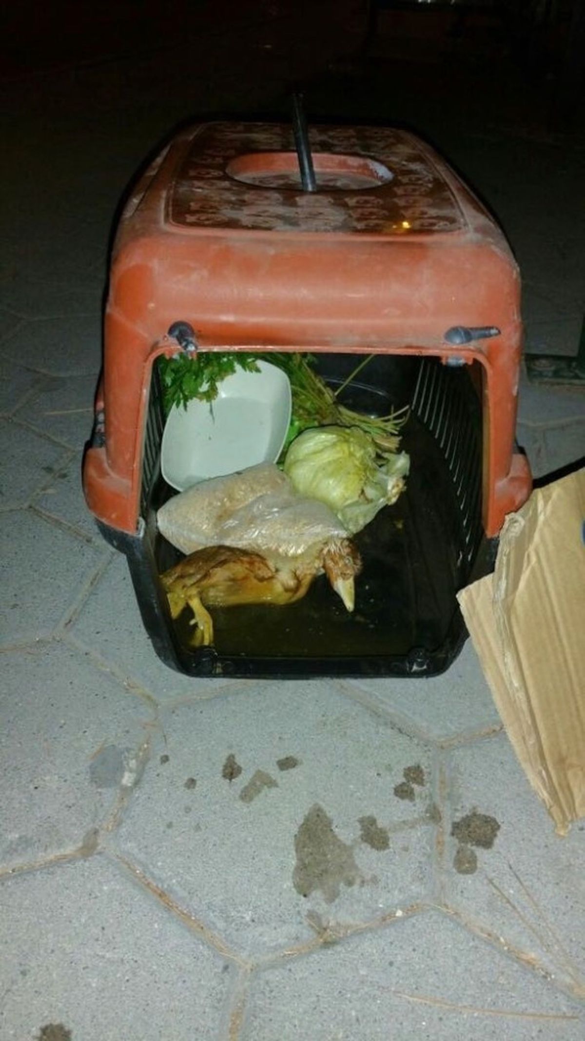 Şaşırtan Fotoğraf