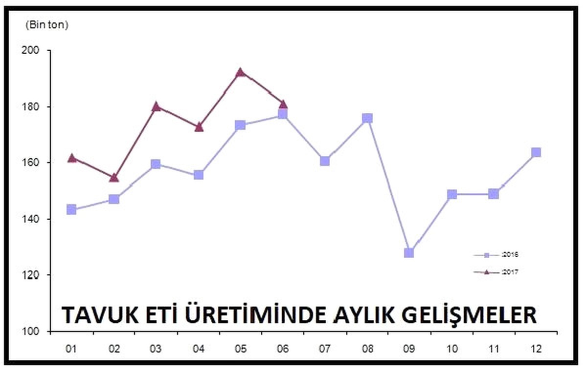 Yılın İlk Yarısında Yumurta Üretimi Yıllık Yüzde 22.4 Arttı