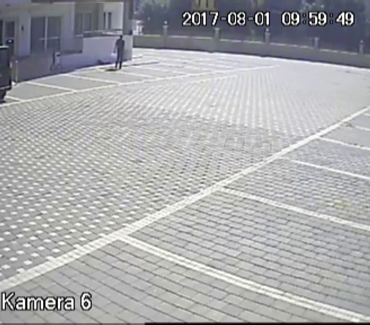 Ayakkabı Fareleri Tutuklandı