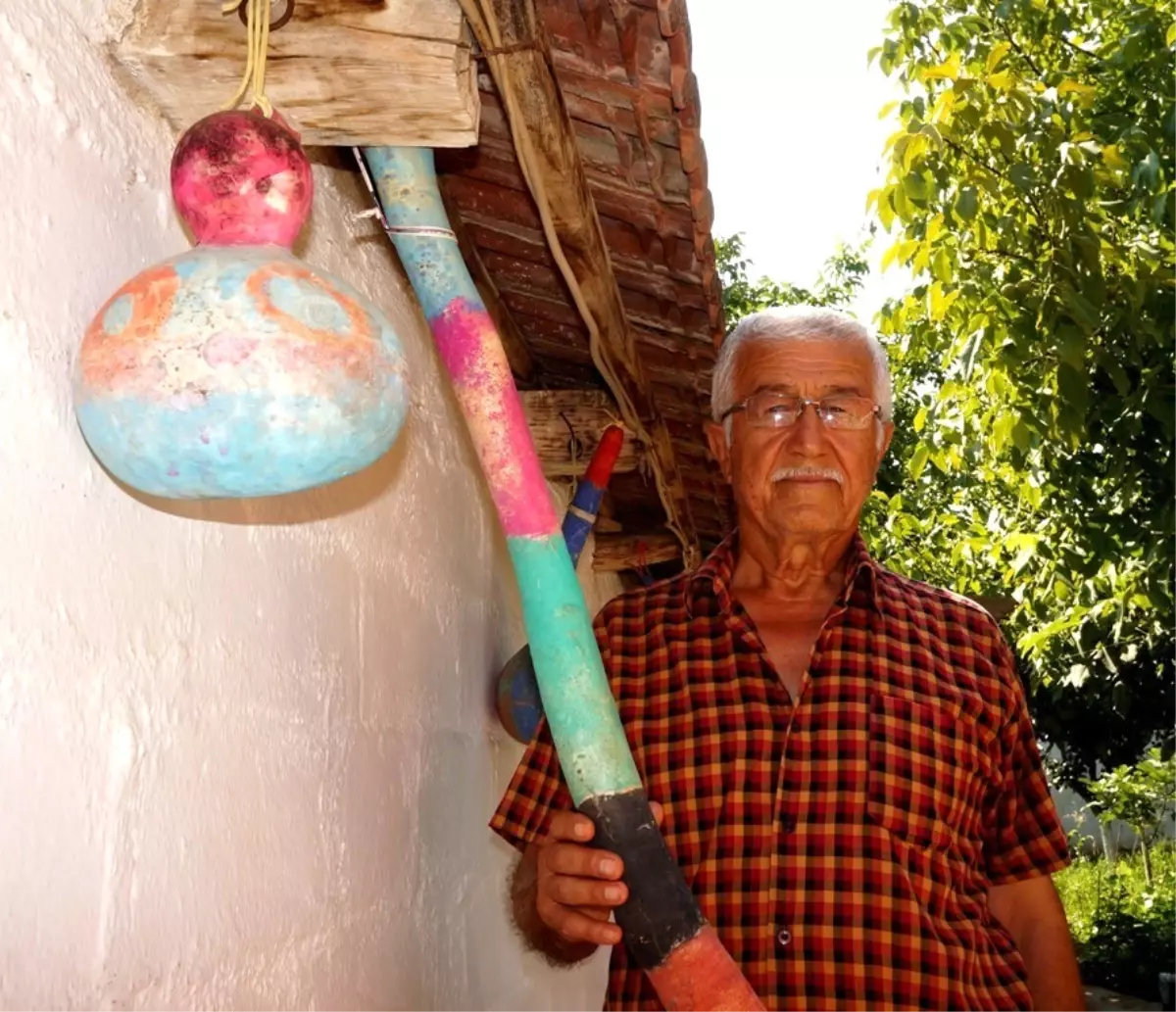 Bahçesinde Yetiştiriyor, Evini Süslüyor