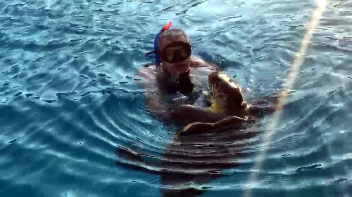 Bir Caretta Caretta Saldırısı Daha