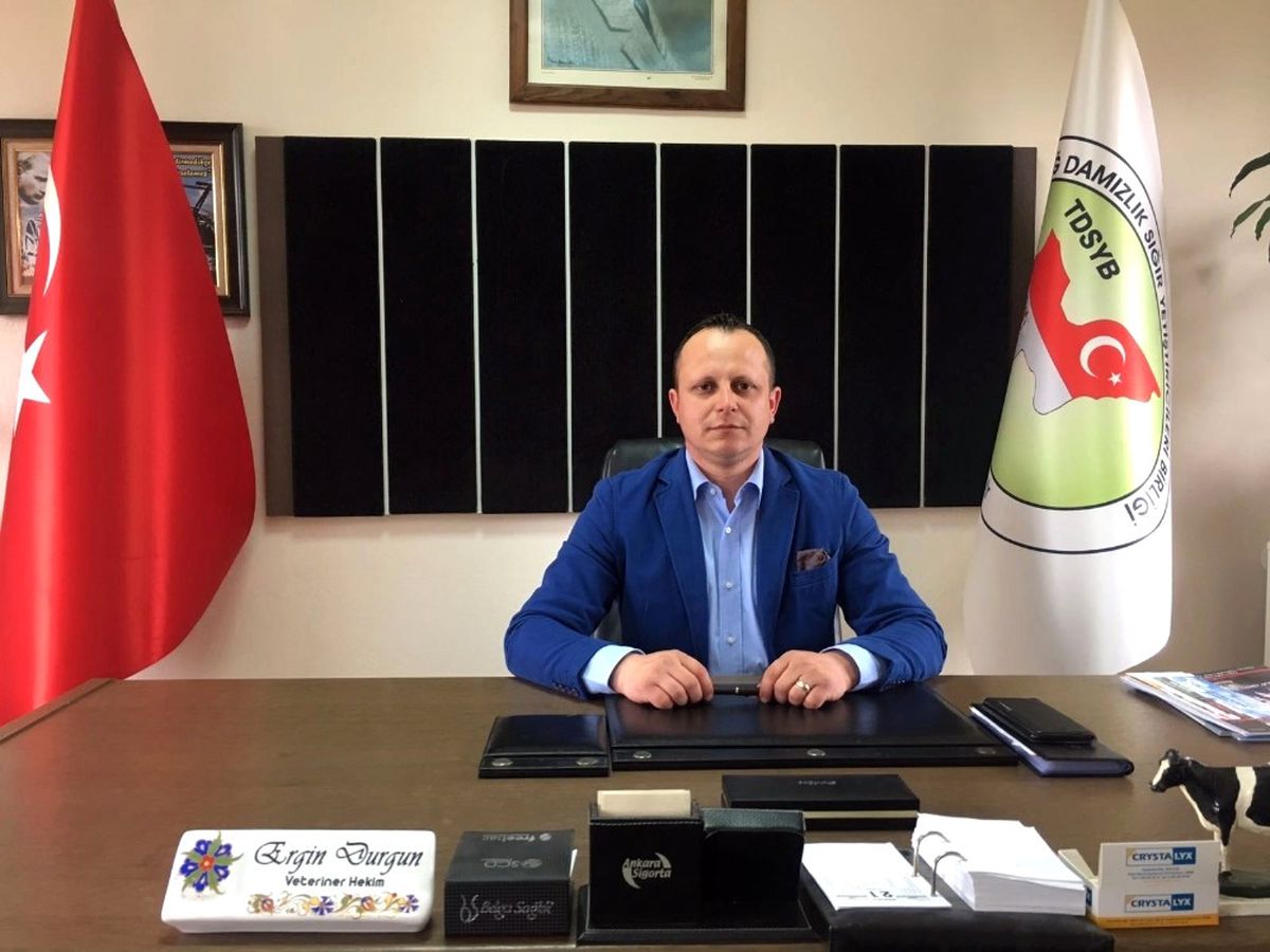 Damızlık İnek Yarışması Düzenlenecek