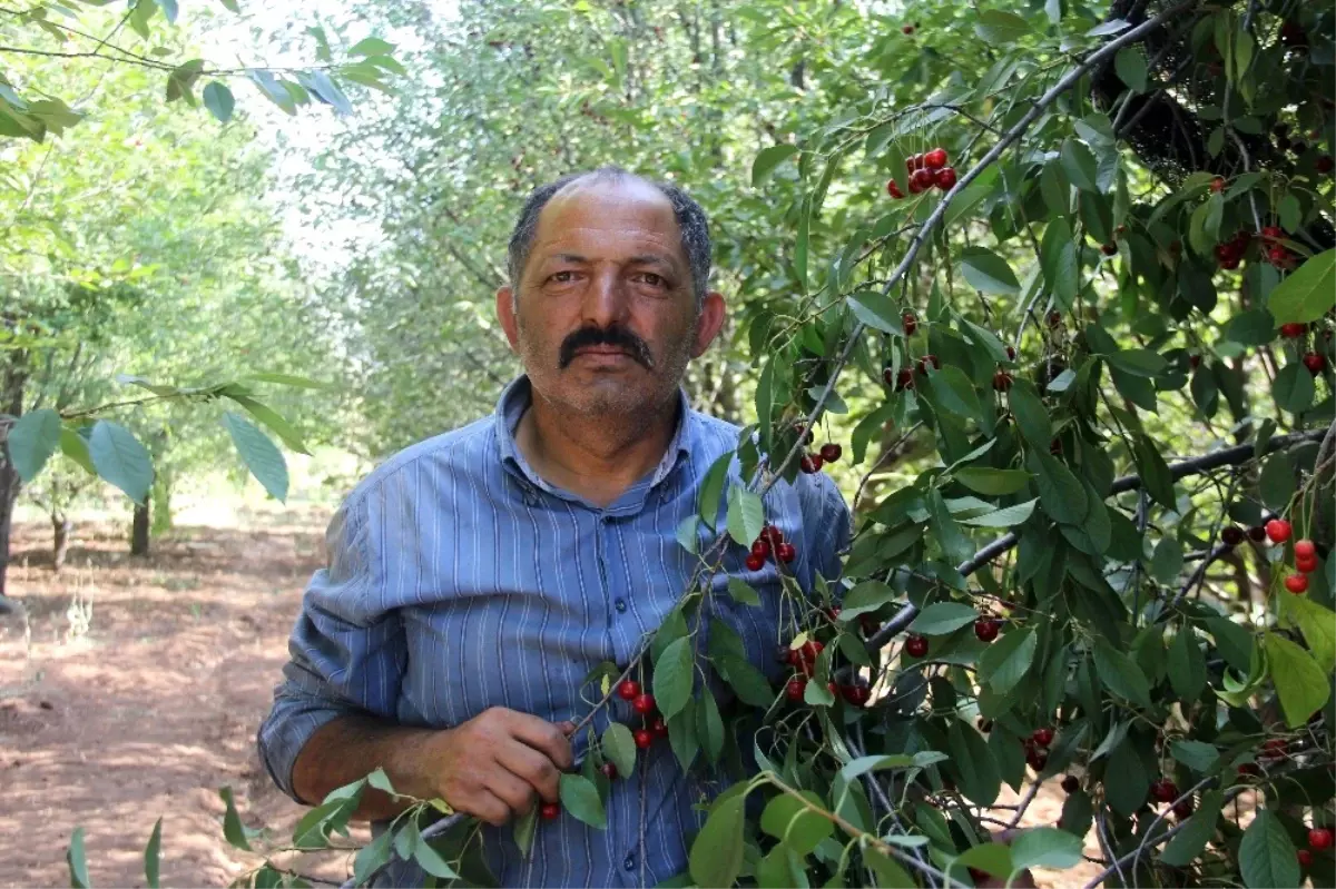 Haber Olunca İşleri Düzeldi.