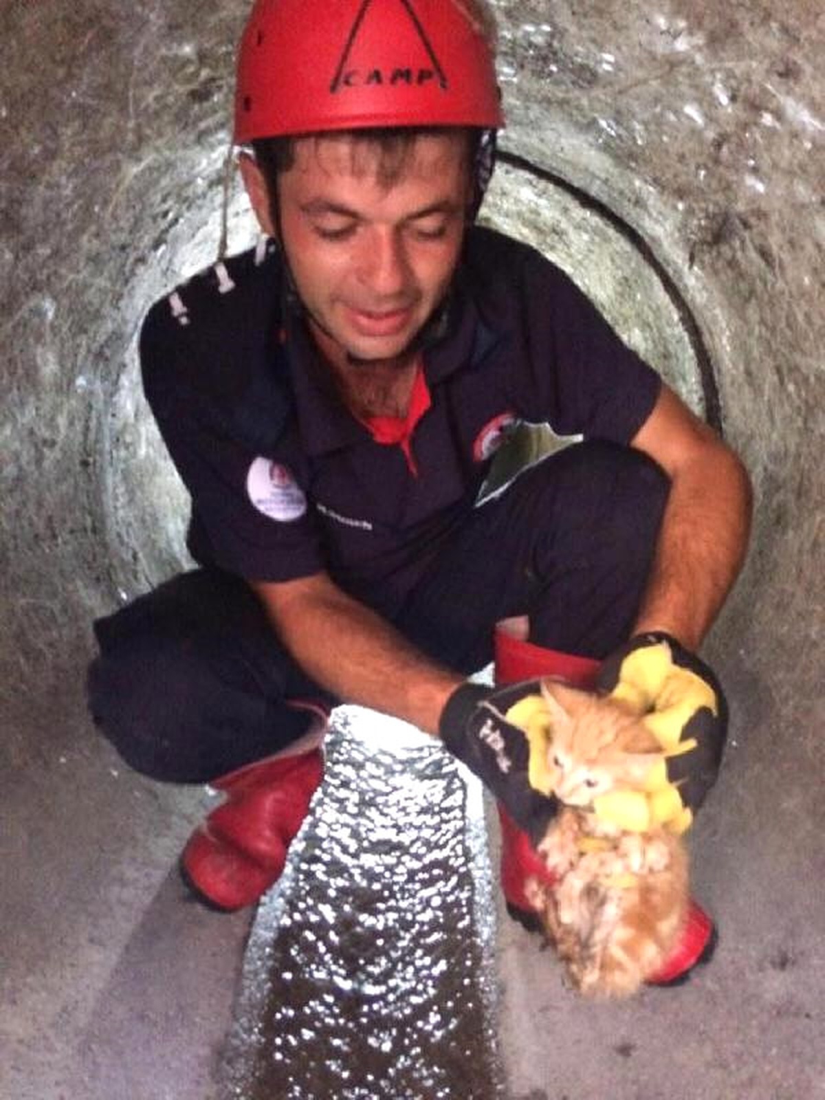 Kanalizasyona Düşen Yavru Kedi Kurtarıldı