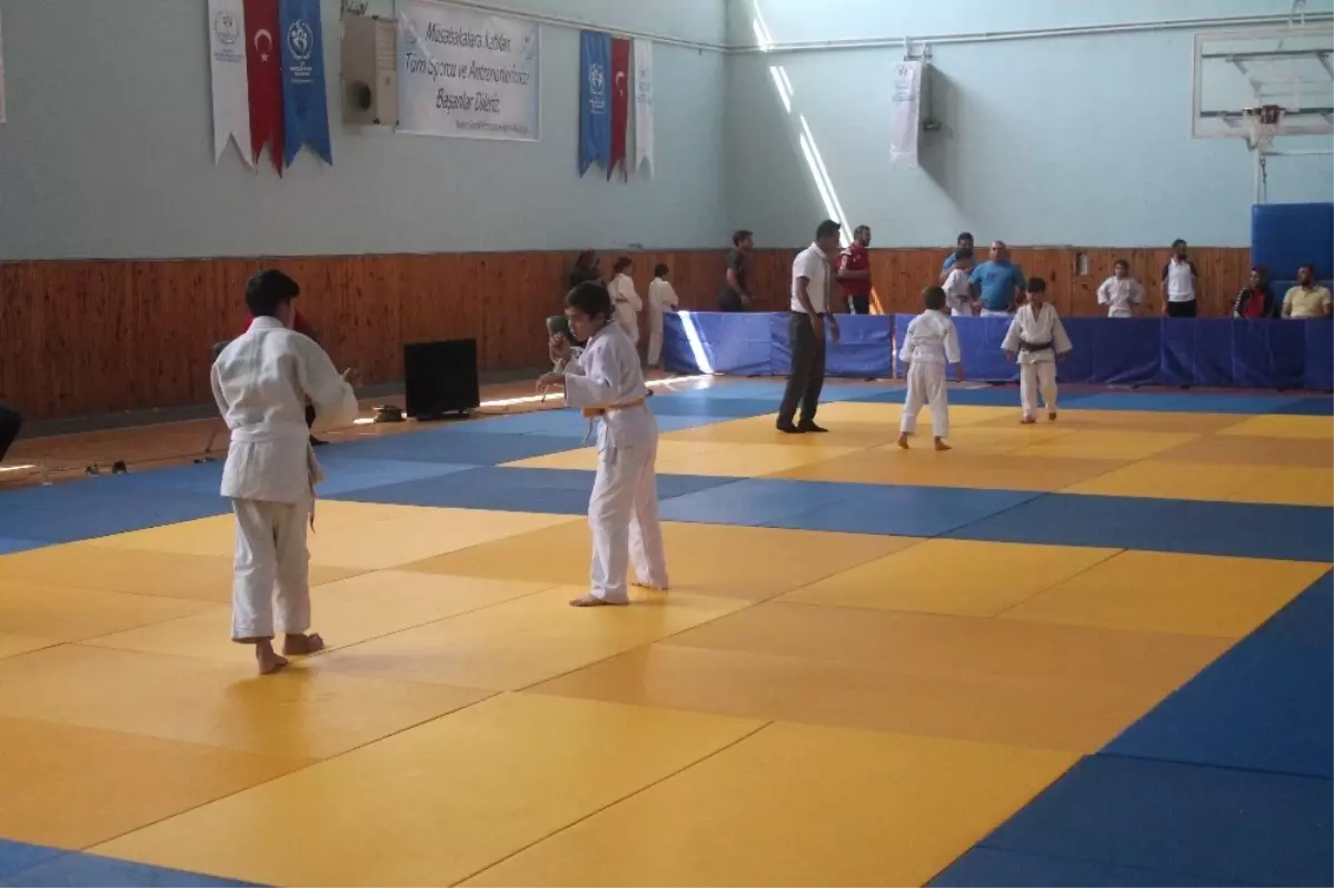 Karadeniz Judo Turnuvasının 15\'incisi, Bayburt\'ta Başladı