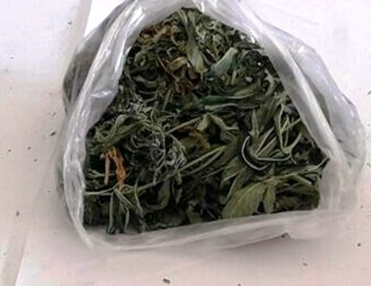 Kırklareli\'de Uyuşturucu Operasyonu