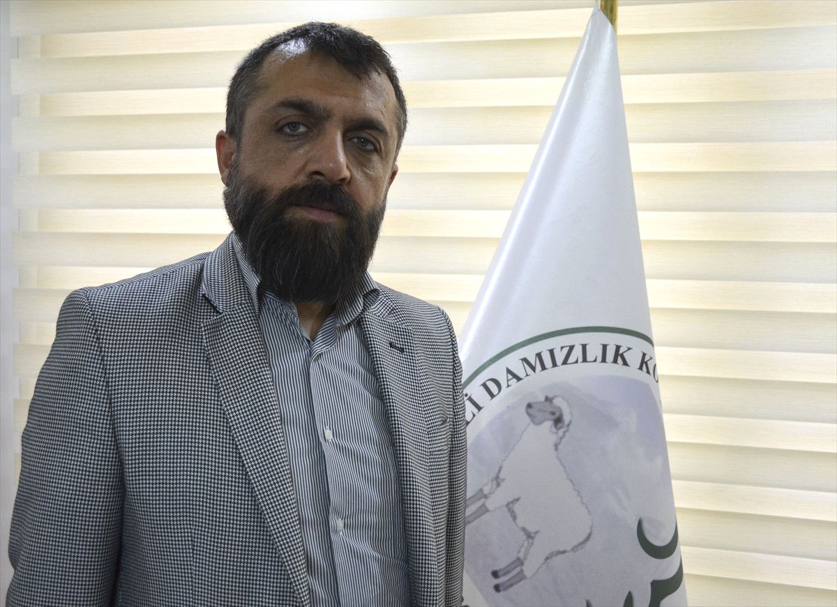 Küçük ve Büyükbaş Hayvan Varlığımız Yeterli"