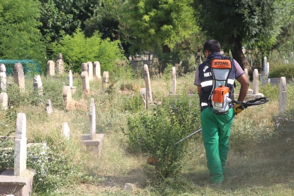 Mezarlıklarda Yabani Otlar Toplandı