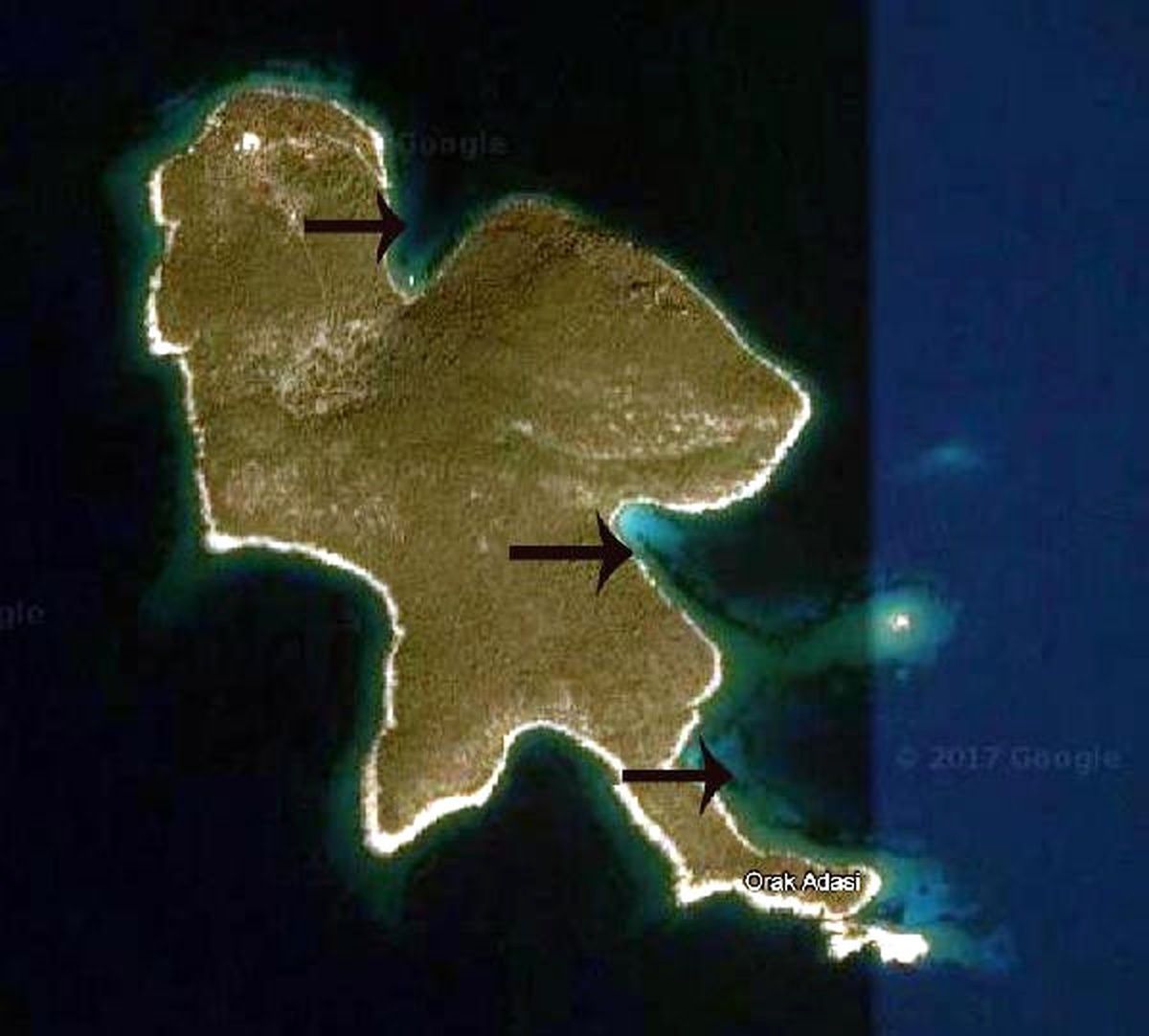 Orak Adası\'na Caretta Caratta\'larla İlgili Uyarı Levhaları Konulacak