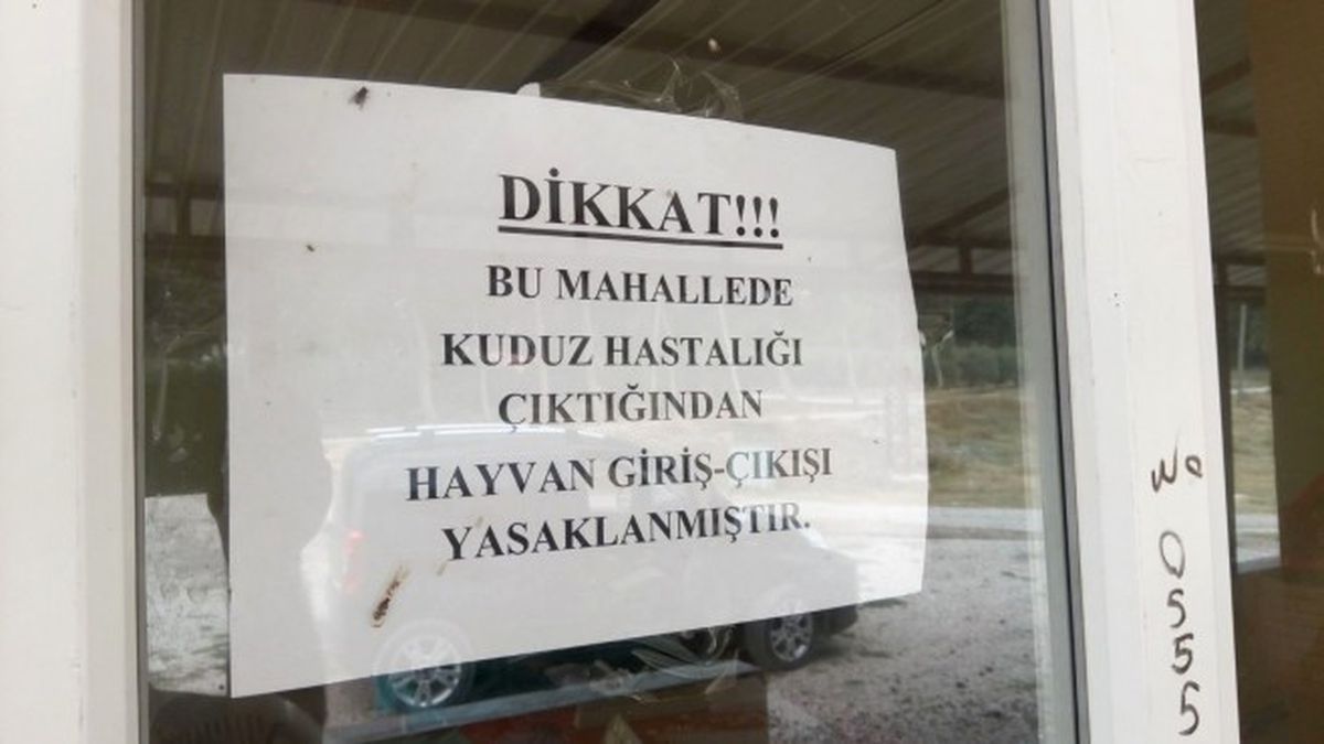 Osmaniye\'de Kuduz Karantinası