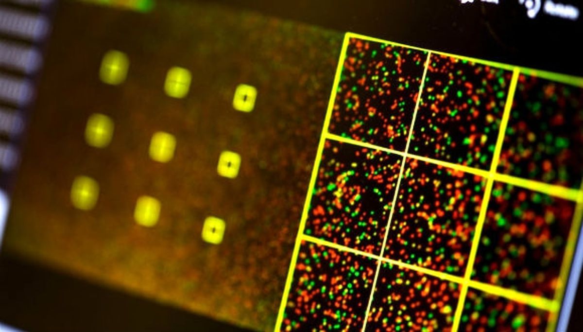 Sentetik Dna\'da Güvenlik Sorunu!