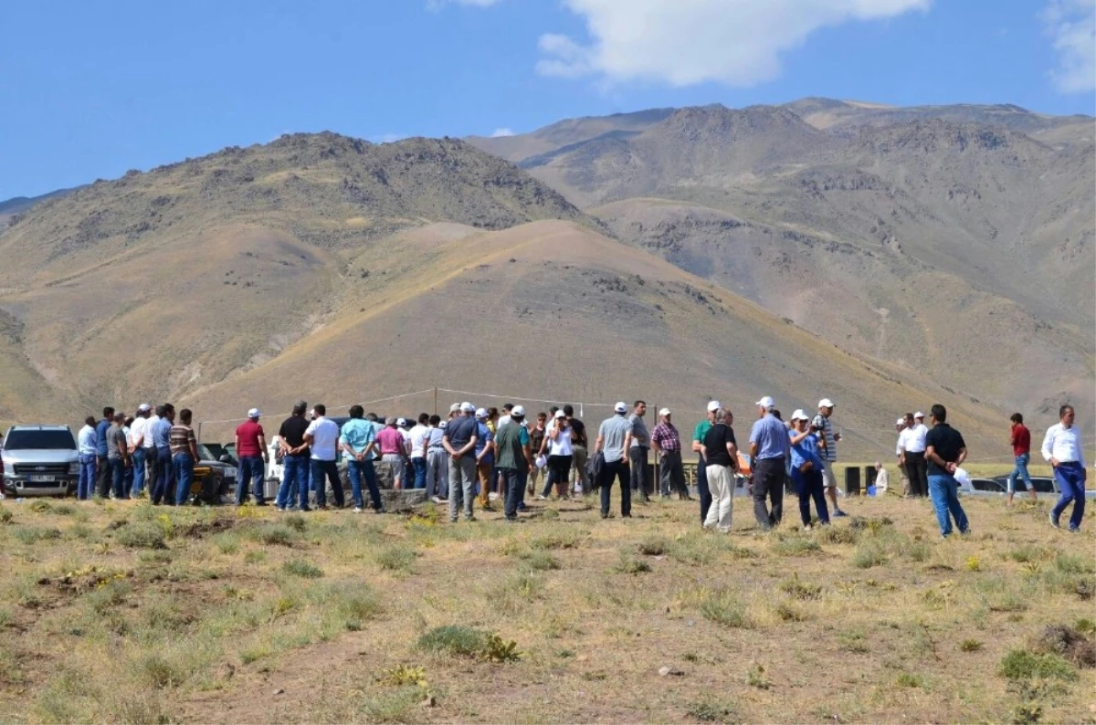 Süphan Dağı Eteklerinde Şenlik Coşkusu