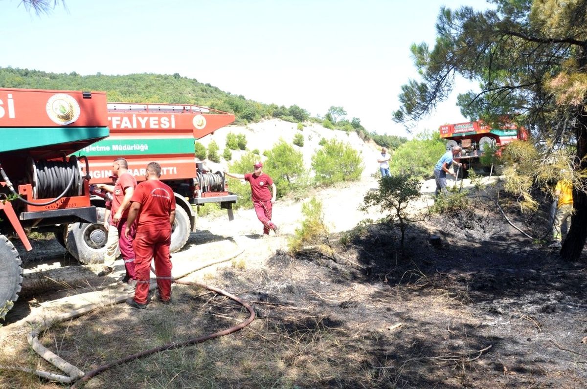 Tekirdağ\'da 50 Dönüm Ormanlık Alan Kül Oldu
