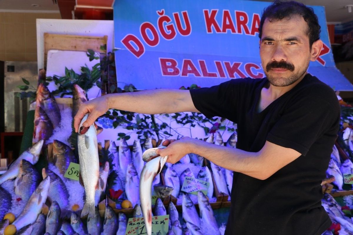 Yaz Aylarında Balıkçılar Satışlarından Pek Memnun Değil