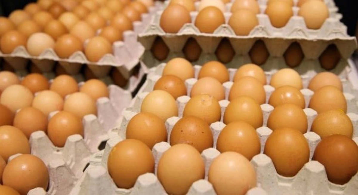 Bakanlık Yumurta Krizini İzlemeye Aldı