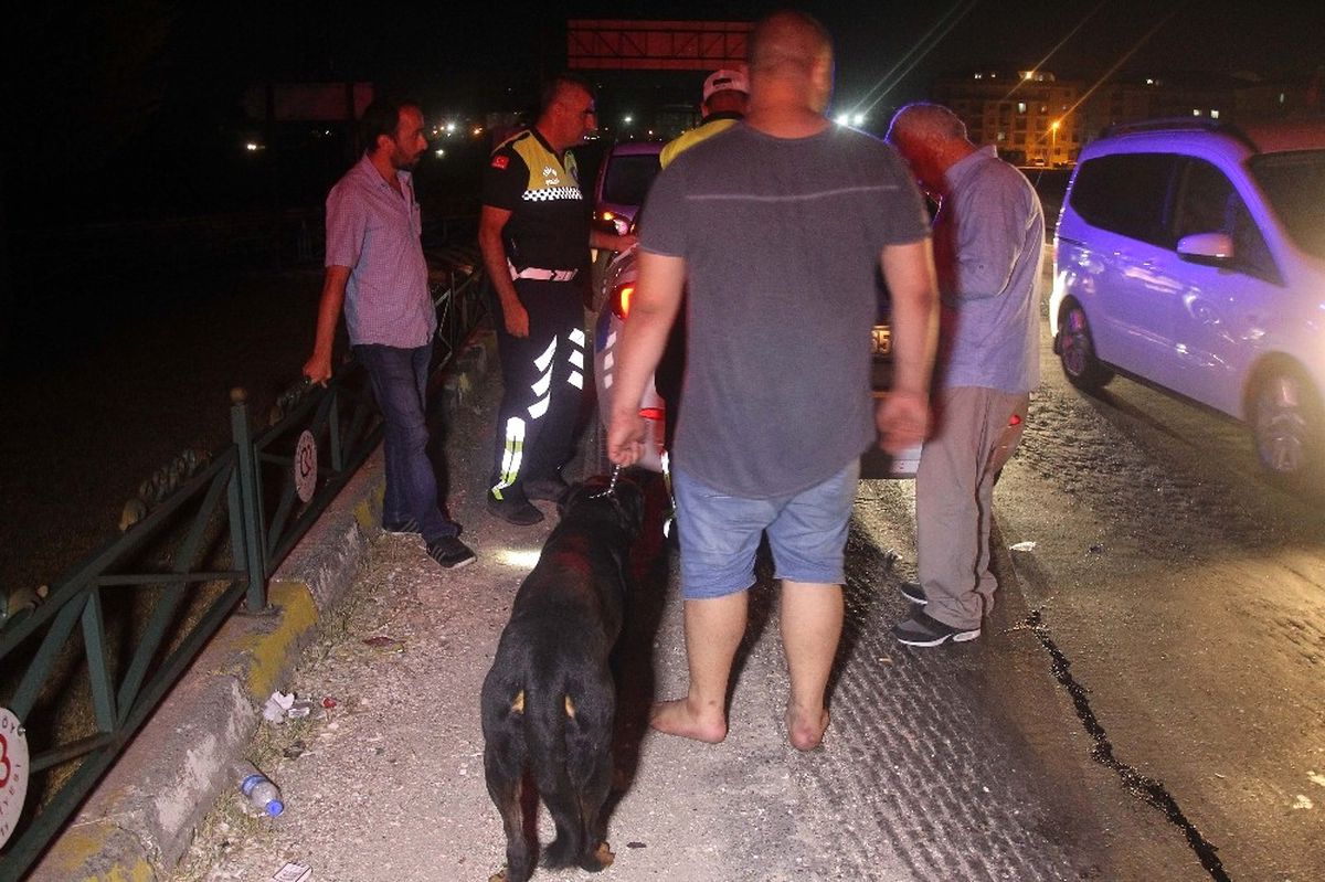 175 Promilli Sürücü Köpeğini Bırakmadı