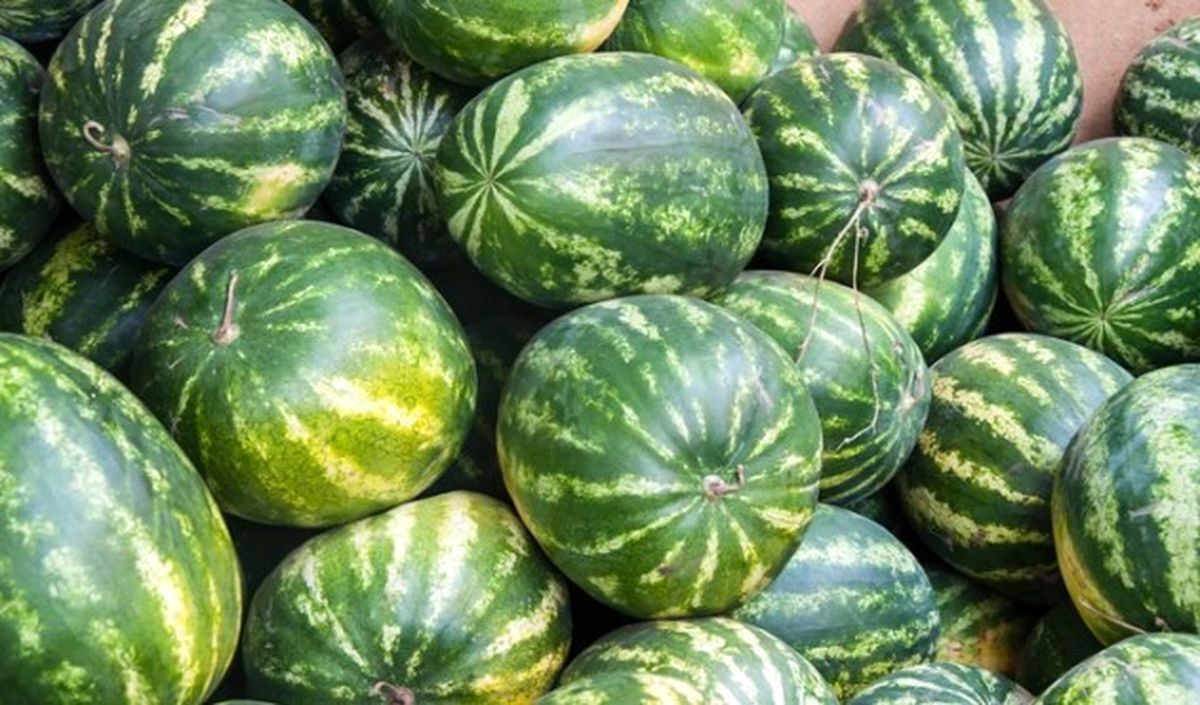 Aşırı Sıcaklar Sigorta Kapsamına Alınsın"